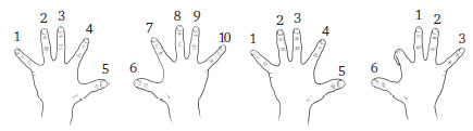 1 - мізинець на лівій руці (крайній палець зліва від вас), 10 - мізинець на правій (крайній палець праворуч)