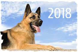 Отже, наступний Новий рік - рік Собаки 2018