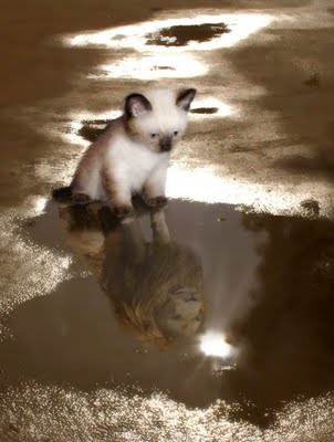 Знадобиться стаття Як прибрати відступ під зображенням